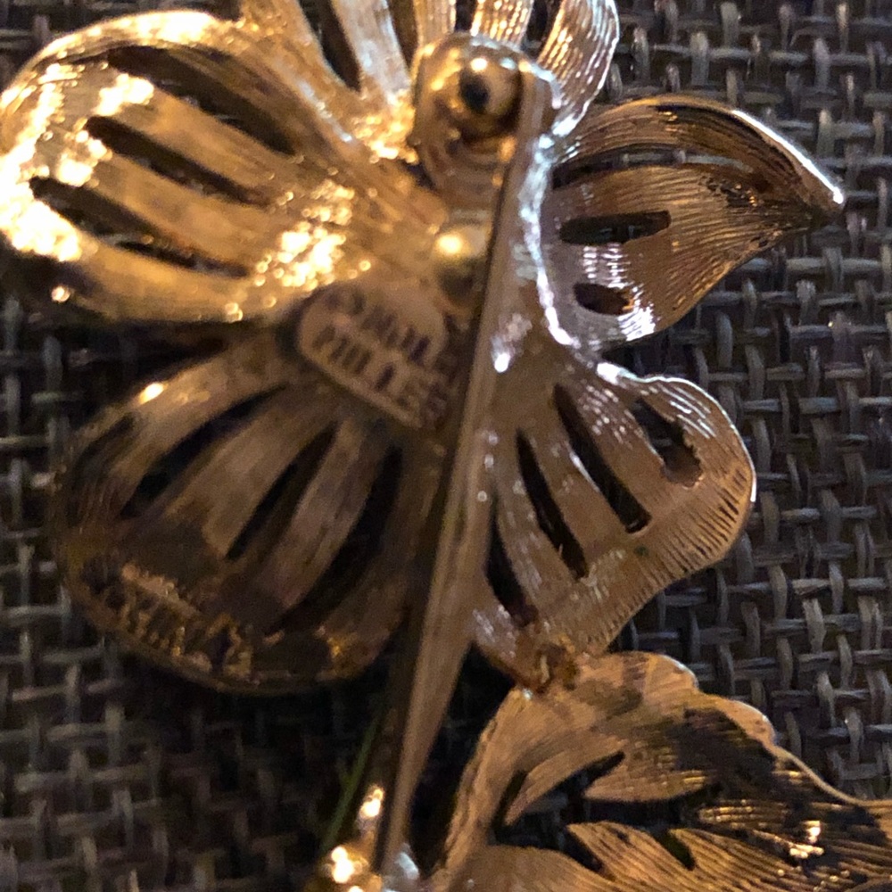 NOLAN MILLER COUNTY GARDEN FLOWER